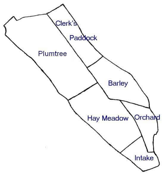 Identification of fields in Brigsteer Bee Reserve